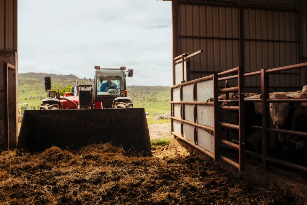 sostenibilidad medioambiental
