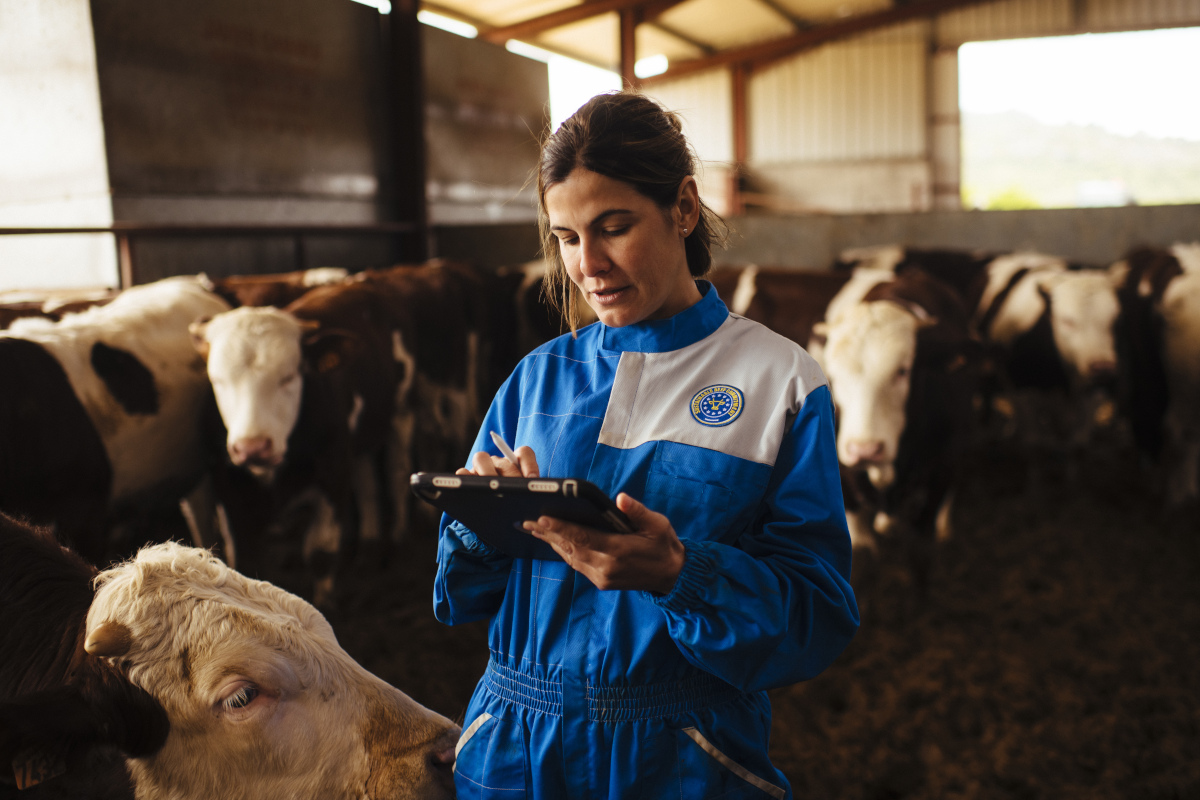 Provacuno lanza una aplicación web para medir la huella de carbono del vacuno de carne en España