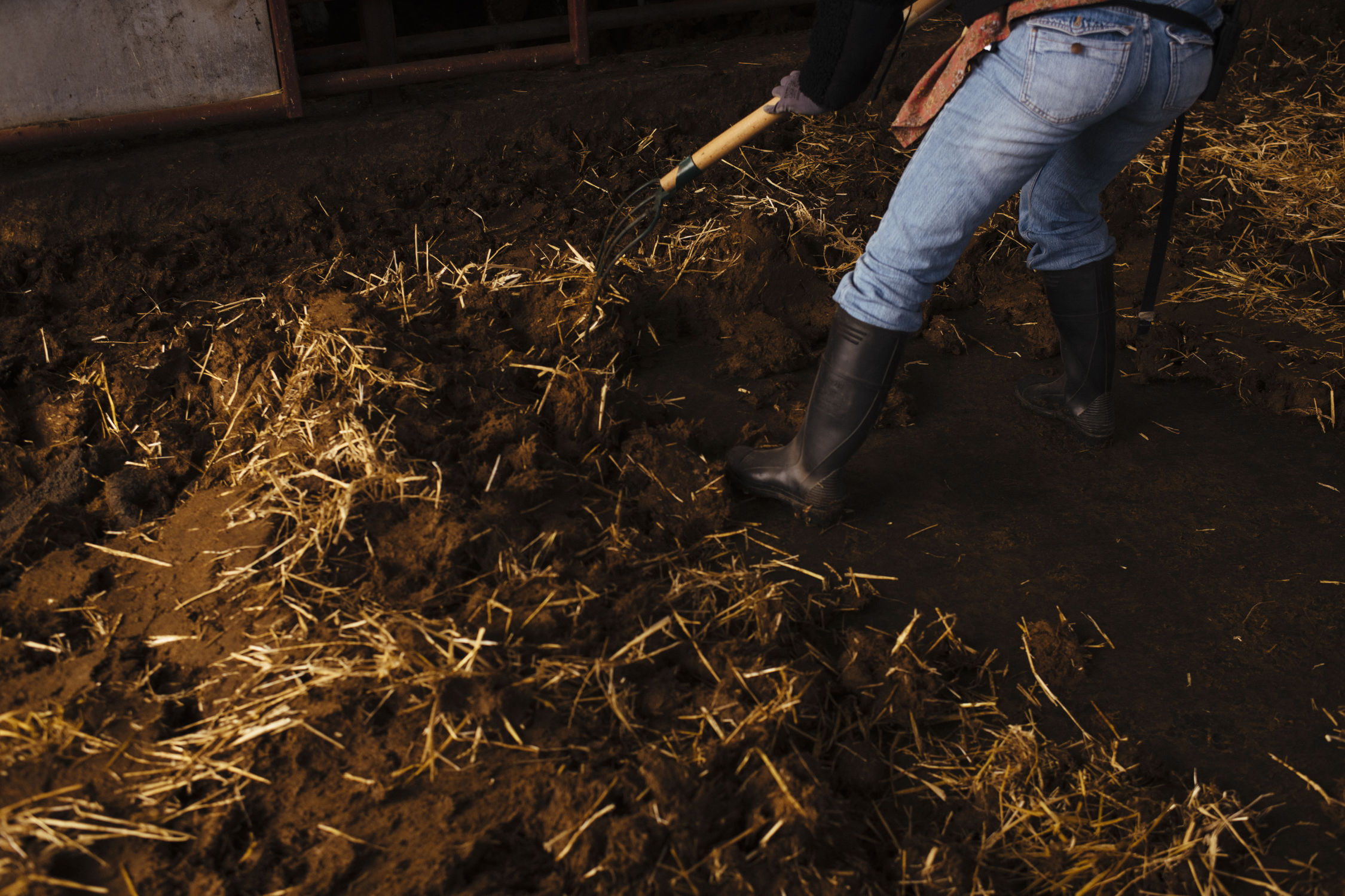 Agrocompostaje avanzado: convertir el estiércol de vacuno de carne en un recurso para el suelo
